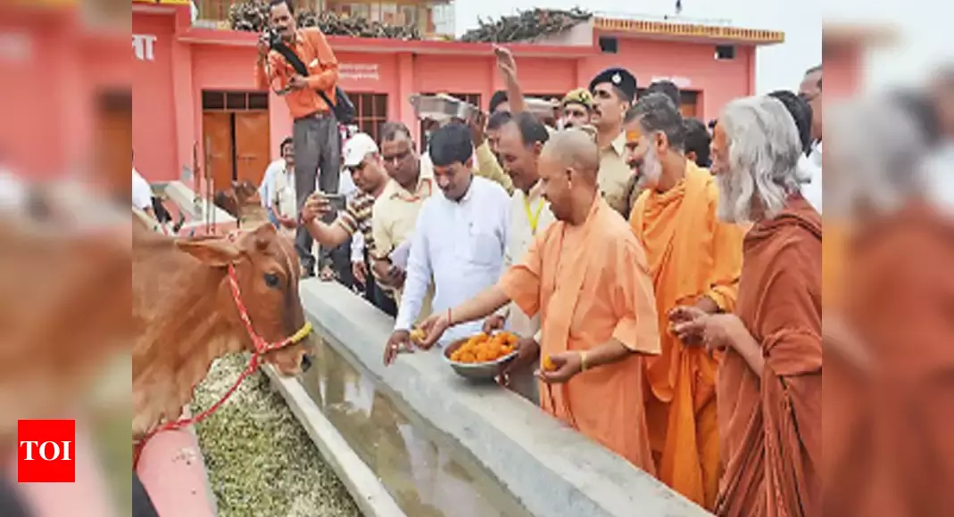 Gaushala at Shri Shukdev Ashram Shukteerth